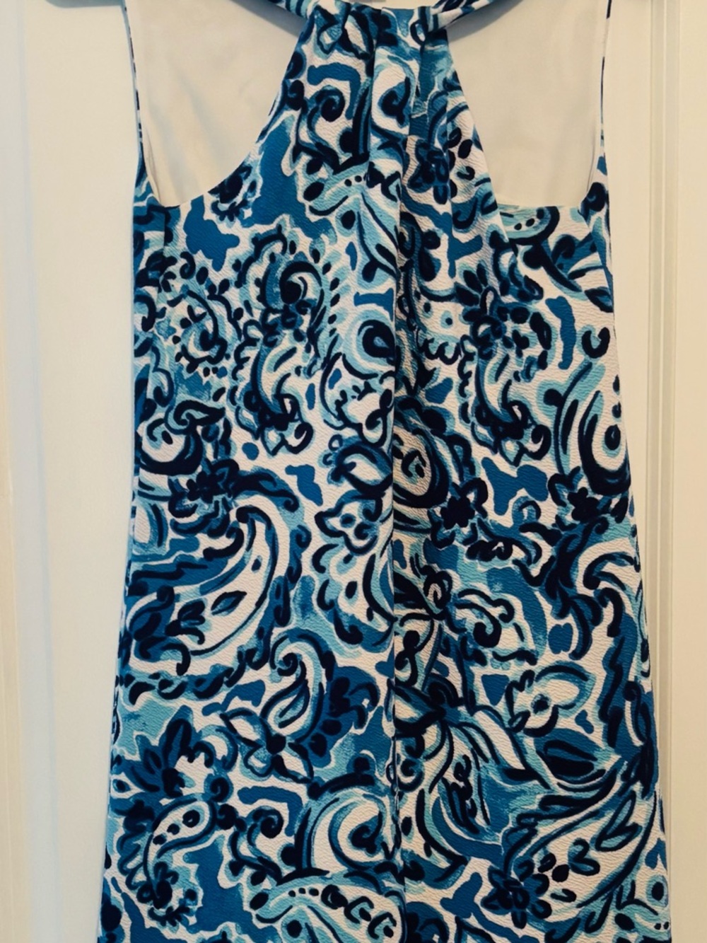 Jessica H. Blue Multi Paisley Dress